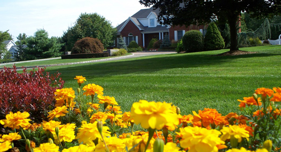 Landscaping Services Sherman Ct Grass, Landscaping Companies In Ct